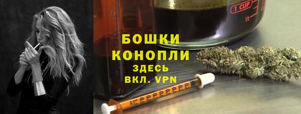 прущий лед Абаза