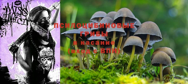 прущий лед Абаза