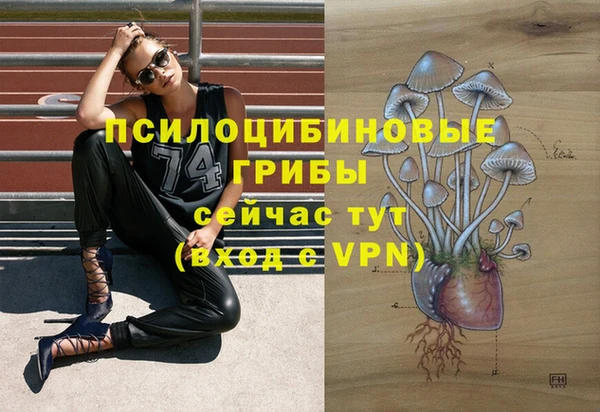 прущий лед Абаза
