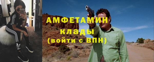тгк Дмитриев