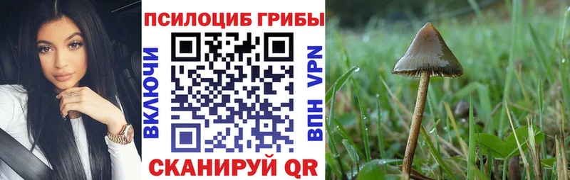 как найти закладки  Тихорецк  блэк спрут сайт  Псилоцибиновые грибы Magic Shrooms 